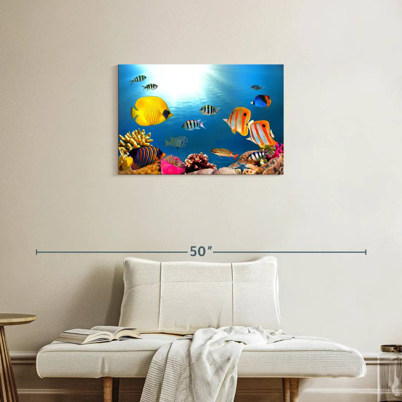 Brampt, poissons tropicaux et coraux