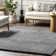 Conye Performance Grey Shag Area Rug