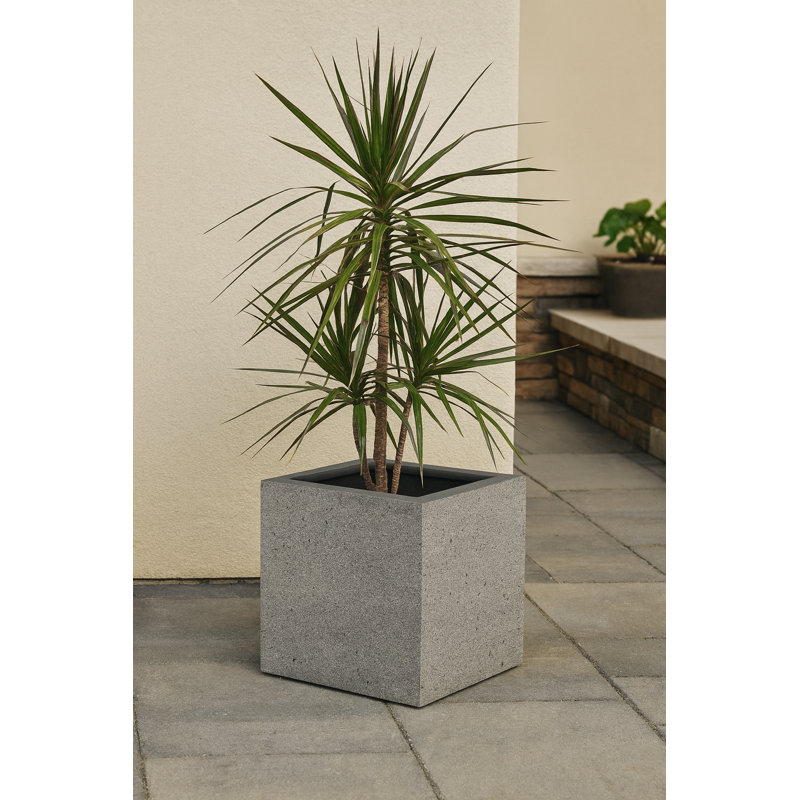 Pot à fleurs Grigio XL l 19,75 po x H 19,75 po - Béton naturel, pot à fleurs fait à la main léger de qualité supérieure, pot en résine de fibre de verre résistant au gel et aux rayons UV pour une utilisation intérieure / extérieure