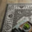 Tapis Epichio-1662055249