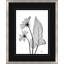 Arrow Leaf Print