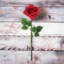 Tige de roses