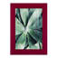 Vert succulent tropical vert III-173666794-173666797