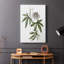 Tropical Botanical I - Cavas enveloppés de galerie-1715446038