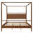 Canopy Bed-943706352