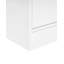 12 Pair Shoe Storage Cabinet