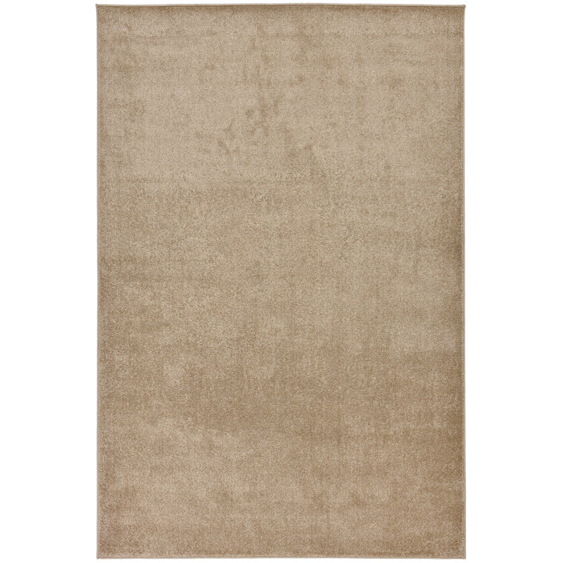 Paola Solid Colour Area Rug, Rectangle 67 x 120cm