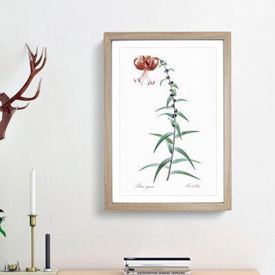 Tiger Lily Flower by Pierre-Joseph Redoute - Picture Frame Painting Print