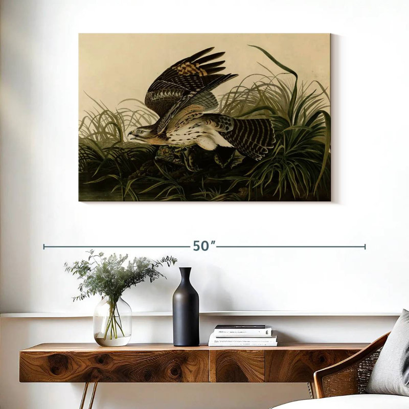Brampt Winter Hawk, 26" H x 39" W