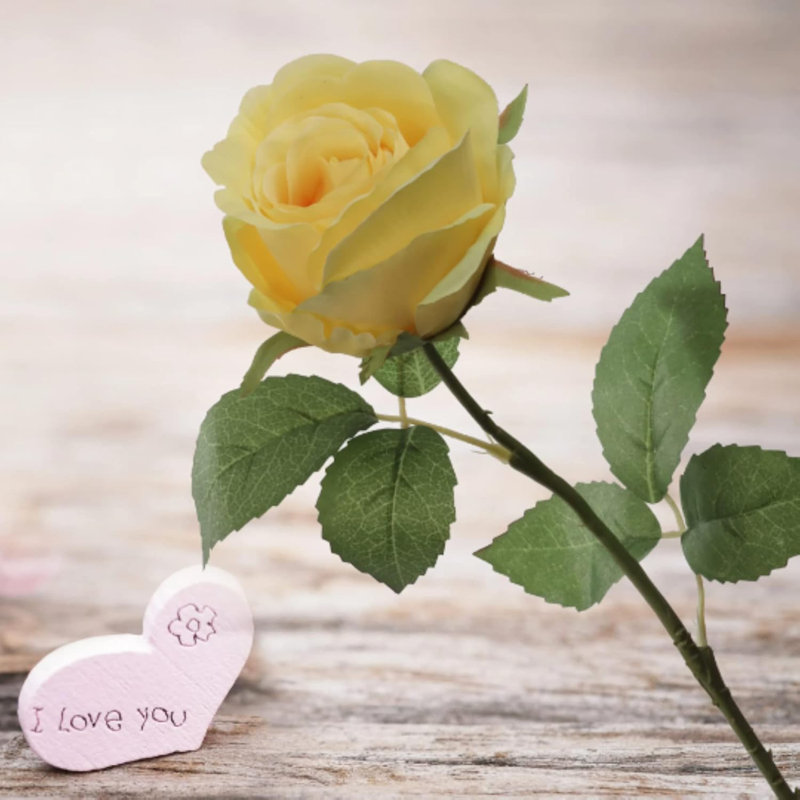 Tige de rose radieuse