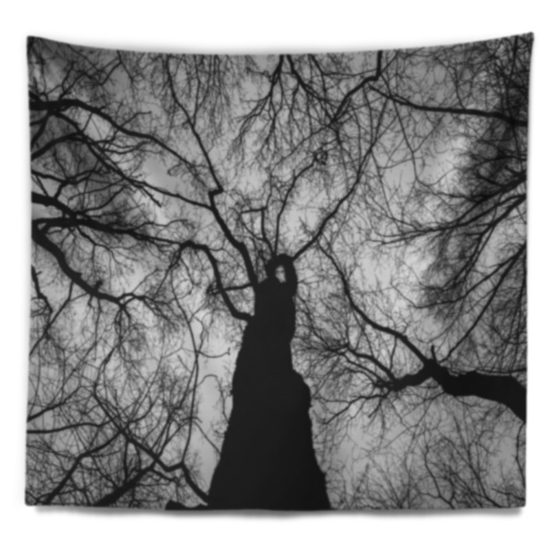 Tapisserie paysage de branches d'hiver, H 32 po x l 39 po