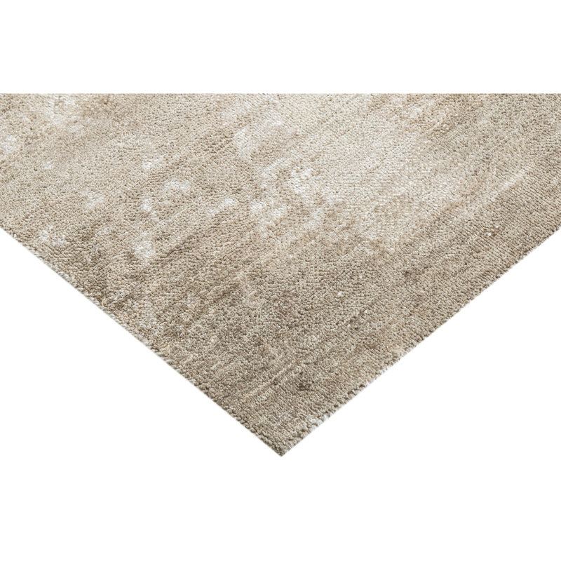Hand Knotted Area Rug in Beige And Silver, Rectangle 5' x 8'