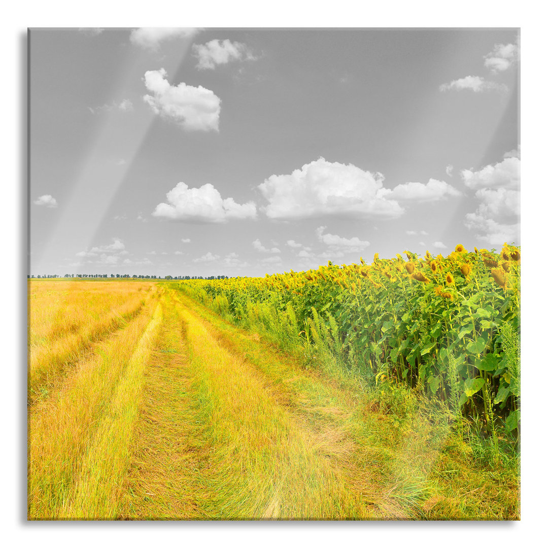 Glasbild Feldweg Sonnenblumen