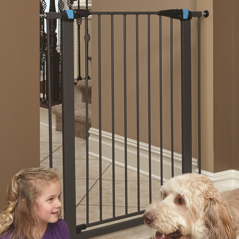 Barrière en acier pour animaux MidWest Homes, H 39 po x l 29 po x P 1,13 po, Graphite