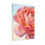Plantes et fleurs, impression d'art floral rose sur toile-1872393397