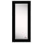 Miroir décoratif Conah-19110409-19110410