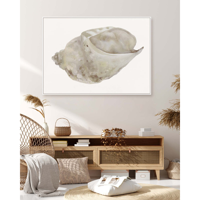 Sea Shell 4 Print, 44" H x 61" W, White Floater Framed