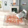 Hillsby Oriental Indoor Rug
