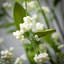 60.75'' in. Faux Berry Garland