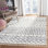 Aghaleck Ikat Area Rug