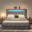 Daysan Upholstered Ottoman Storage Bed-1898330323