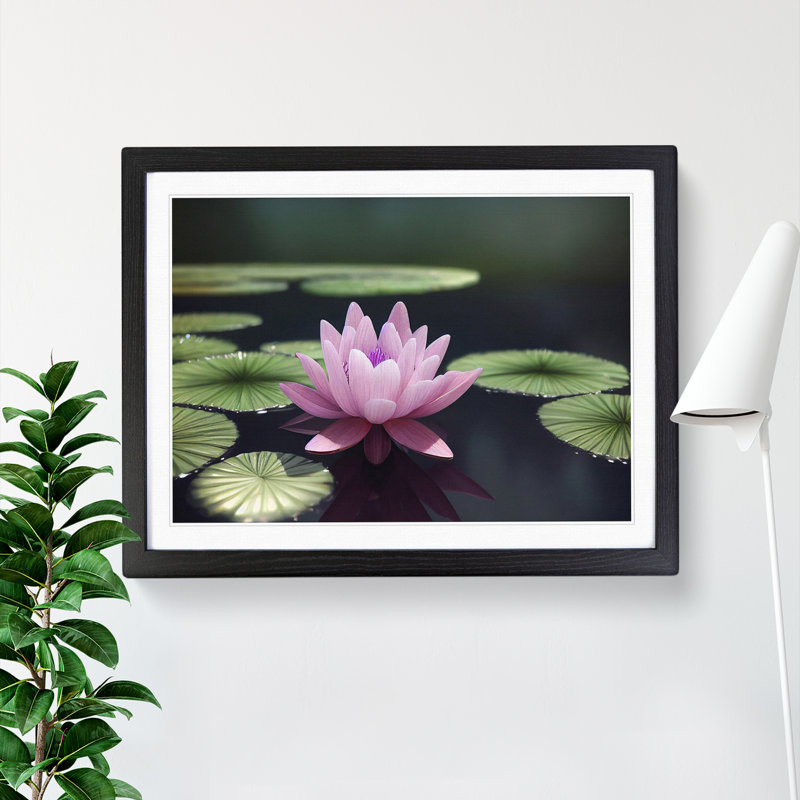 Expressive Water Lily Flower - Single Picture Frame Print, 46cm H x 64cm W x 2cm D, Black