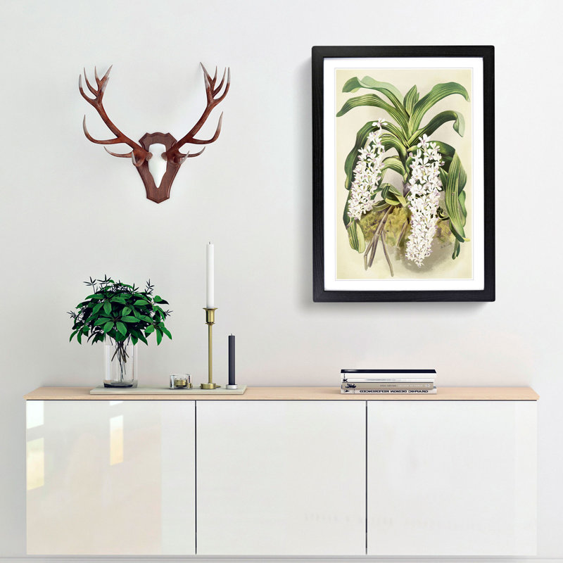 Magnolia Flowers Illustration Tab. 22 by Frederick Sander - Picture Frame Painting Print, Black, 76cm H x 50cm W x 2cm D