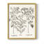 Sépia Besler Botanicals I, reproduction encadrée - bois massif-1279354898-1279354899