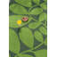 Sycamore Hand Tufted Floral Area Rug in Green-220489882