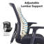 Mesh Task Chair