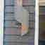 Photos des clients 3 de 4