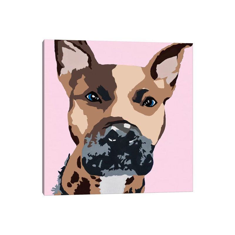 Prince The Pit On Pink by Julie Ahmad - Wrapped Canvas Print, 30.48 cm H x 30.48 cm W