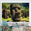 Art moderne brun, Moai Marvel, art asiatique IV