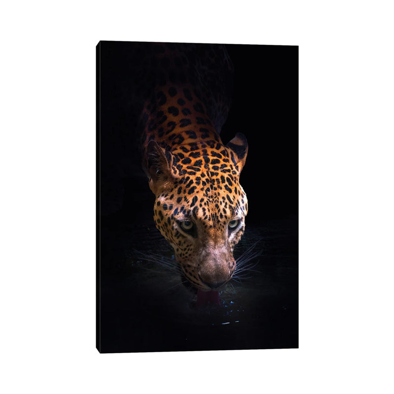 Drinking 1 Piece Wrapped Canvas Wall Art, 20.32 cm H x 30.48 cm W