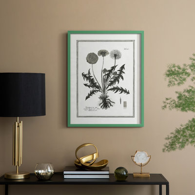 Dandelion II Framed Print - Solid Wood