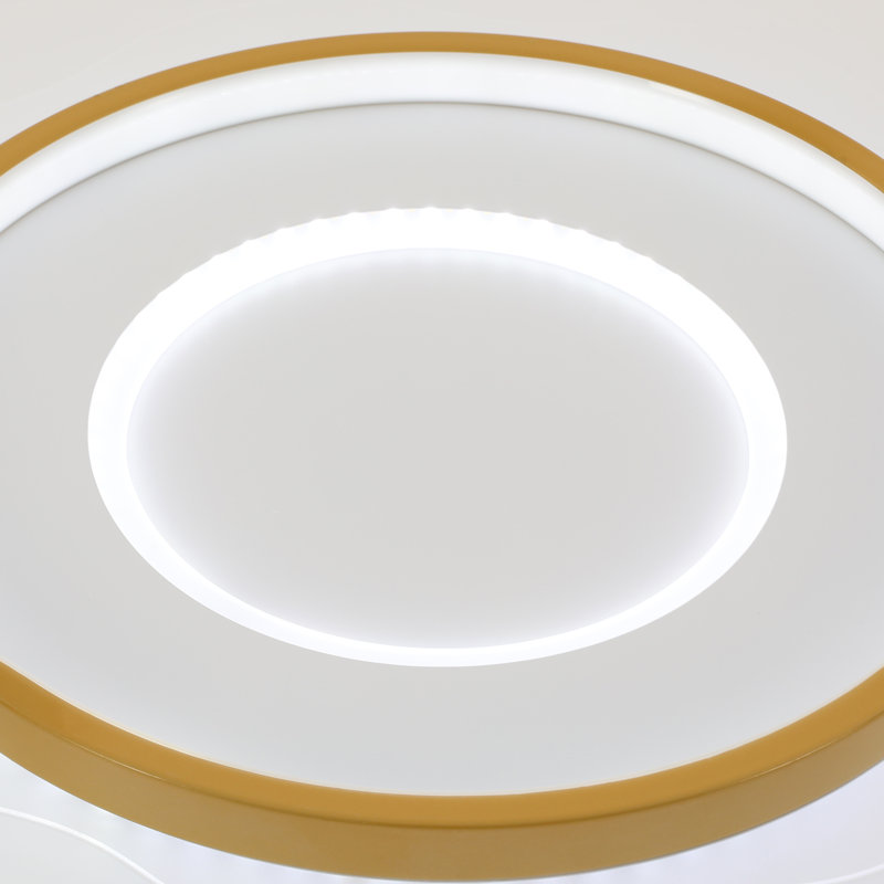 24" Modern Minimalist Round Dimmable Led Ceiling Light With Remote Control