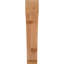 Attelle impériale du genou-31229279-29309856-31229371