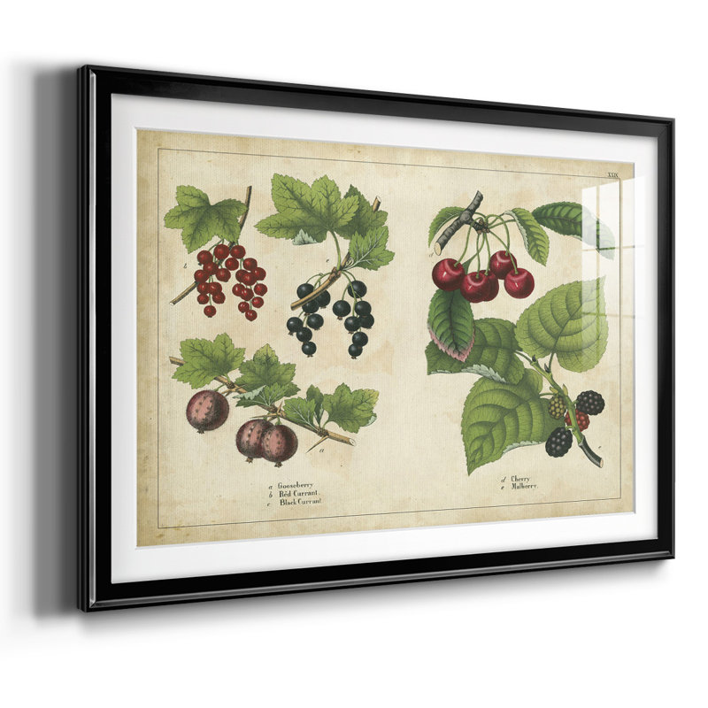 «Kitchen Fruits III», reproduction d'art encadrée, Noir, H 30 po x l 44 po x P 1,5 po