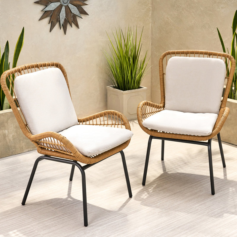 Chaises d'extérieur brunes - Style avec structure club élégant et fer stable
