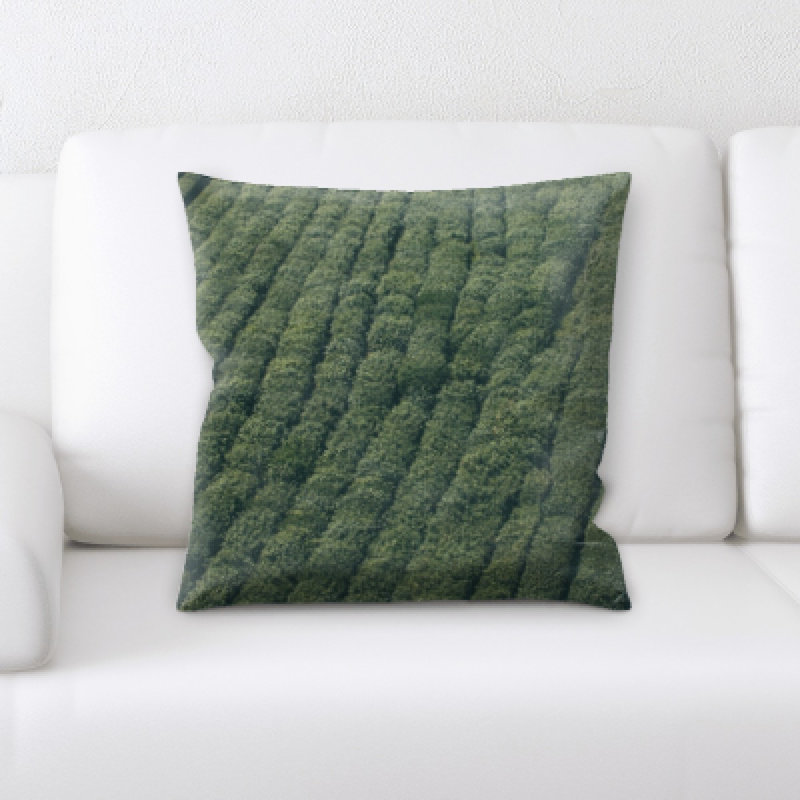 Coussin décoratif Flat Aerial Shots