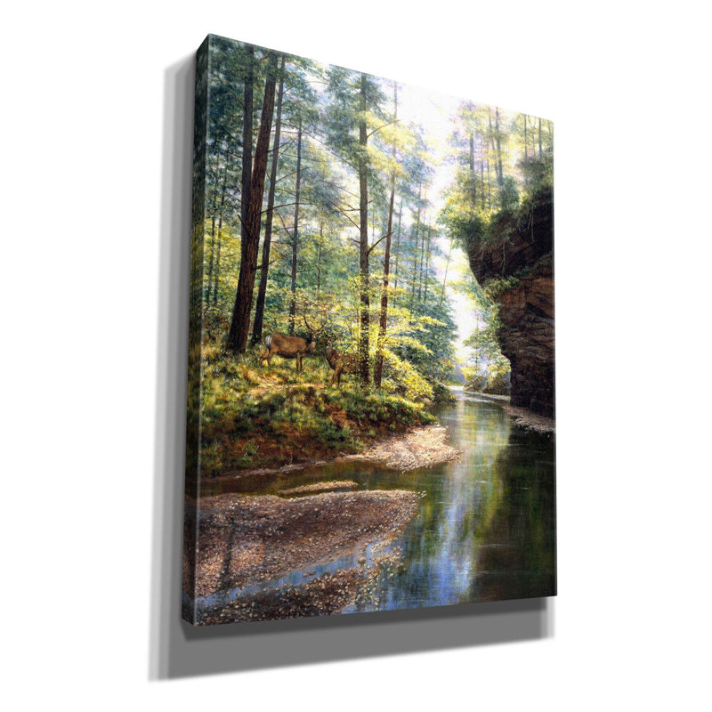Adhya Quiet Forest - reproduction d'art sur toile tendue, H 34 po x l 26 po x P 1,5 po