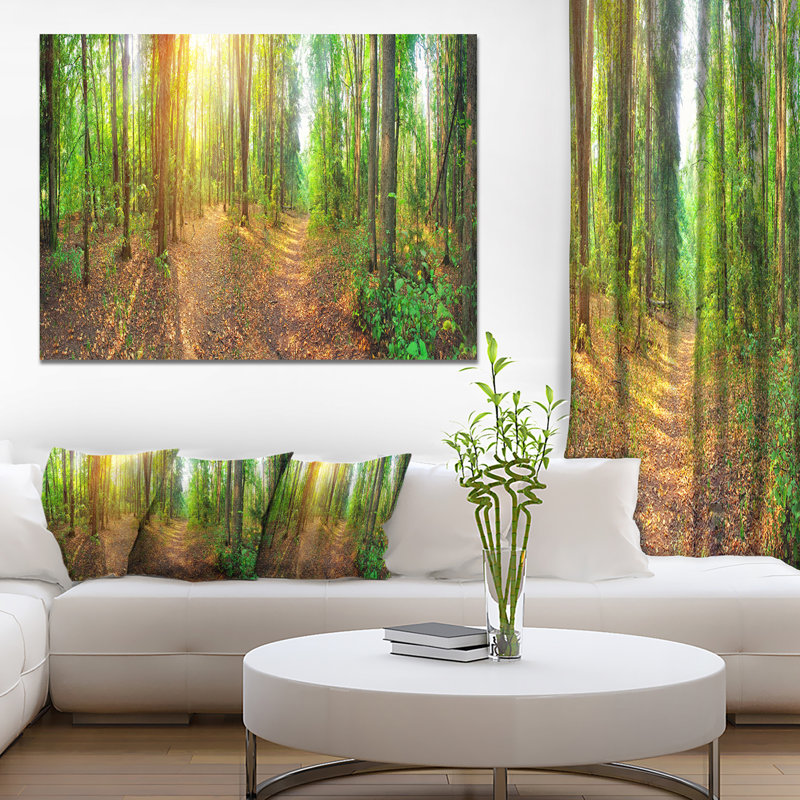 « dense forest panorama », reproduction de photo sur toile tendue, H 30 po x l 40 po x P 1 po