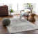Oriental Indoor Rug