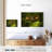 Crowle Flying Eurasian Owl-111984721