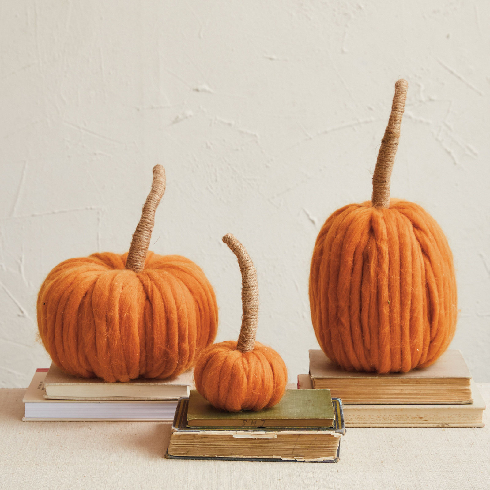 Wrapped Stem Pumpkin Holiday Accent