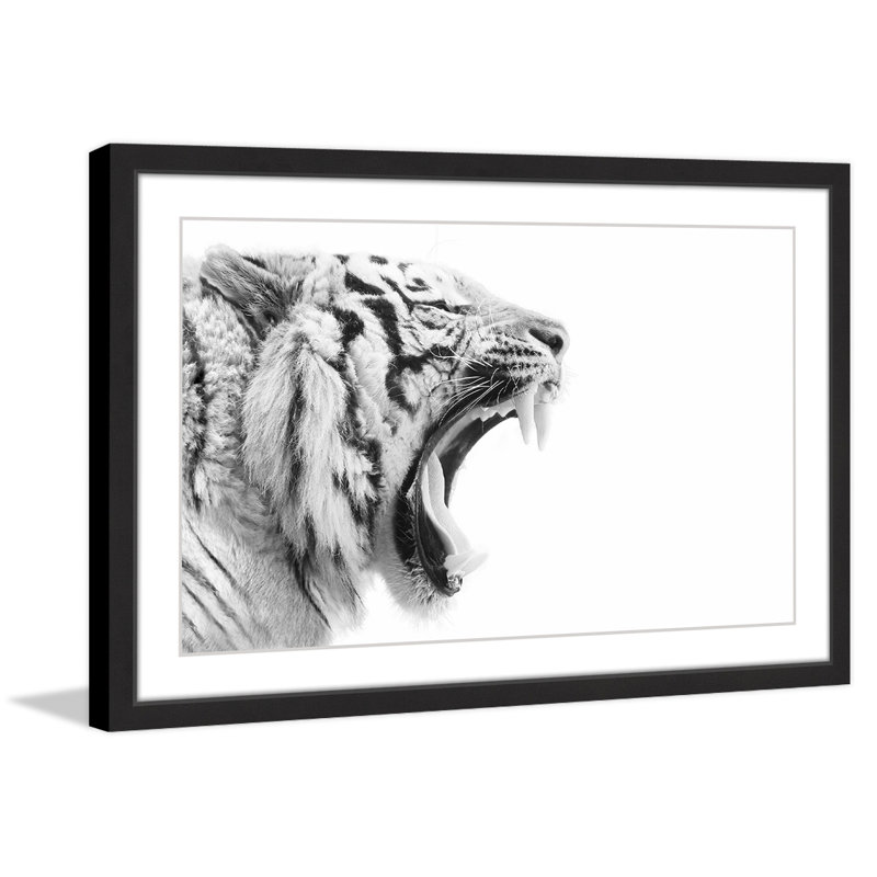 Single Picture Frame Print, 41cm H x 61cm W x 3.81cm D