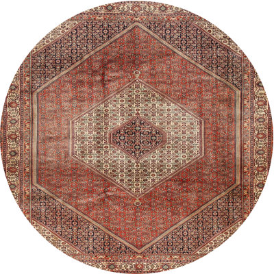 Oriental Indoor Rug