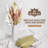 17'' Pampas Grass Plant