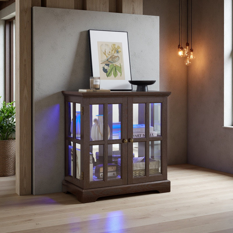 Vitrine lumineuse à DEL, vitrine antique avec tablettes réglables, bibliothèque élégante de qualité rétro avec portes en treillis