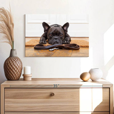 Bouledogue français en attente